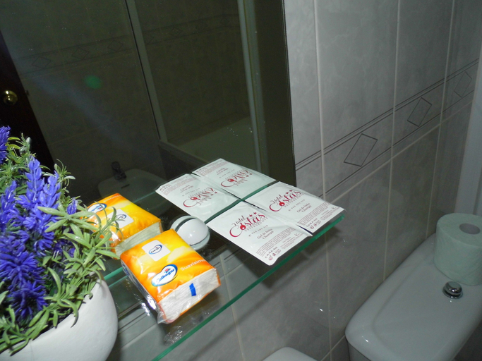 Bathroom 2, Hotel & Restaurante Costas, Murcia