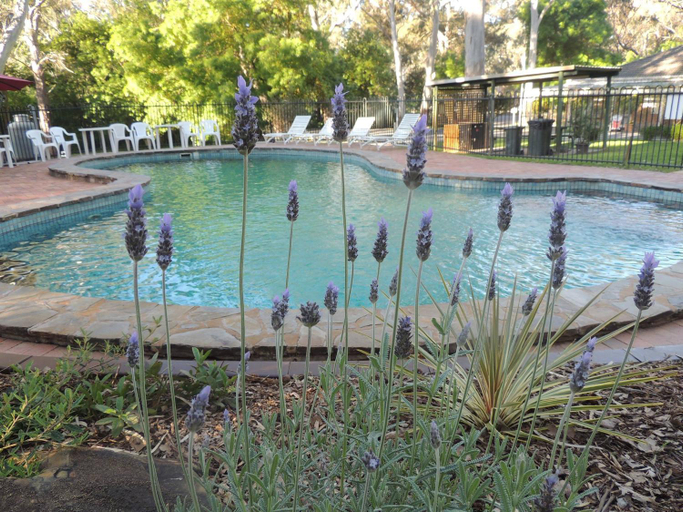 Sport & Beauty, Belair National Park Holiday Park, Adelaide