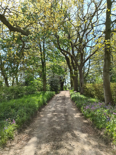 Others 3, Sloley Hall, Norfolk