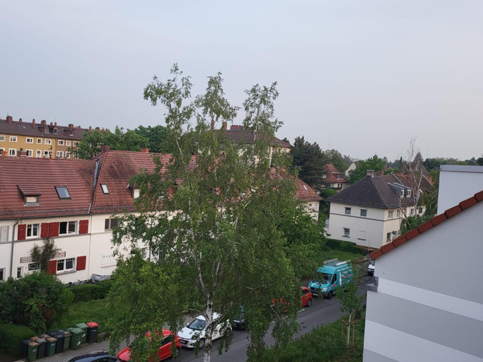 Scenery 1