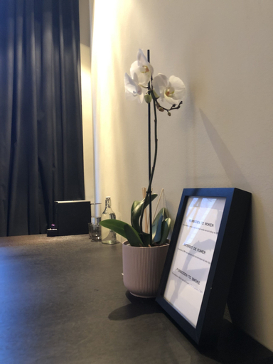 Miscellaneous, Museum Suites, Antwerpen