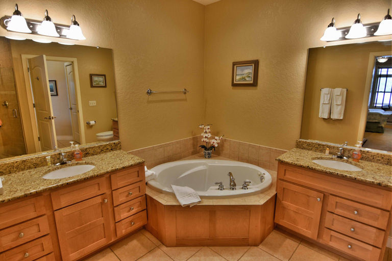 Bathroom, Unit 411a 1 BD/ 1 BA Condo, Barron