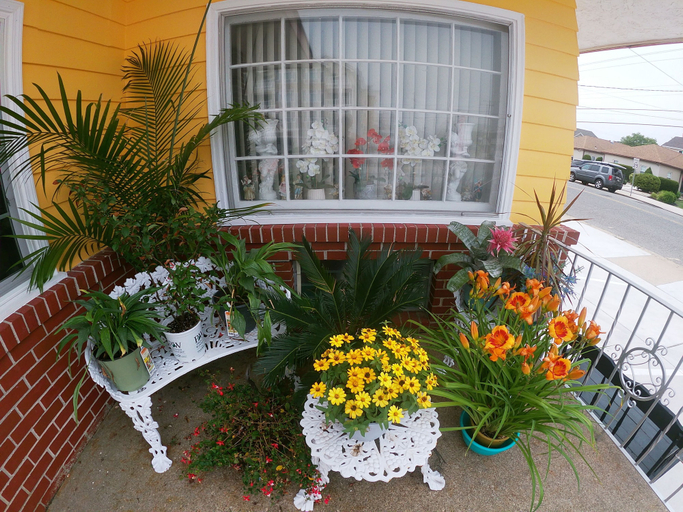 Others 4, Sea Chest Motel, Cape May