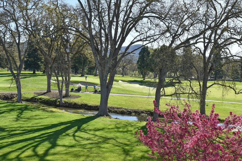 Golf, 702 S At Silverado 1 Bedroom Condo by RedAwning, Napa