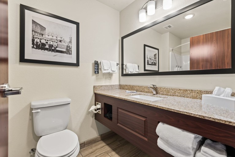 Bathroom 5, Cobblestone Hotel & Suites - Cullman, Cullman
