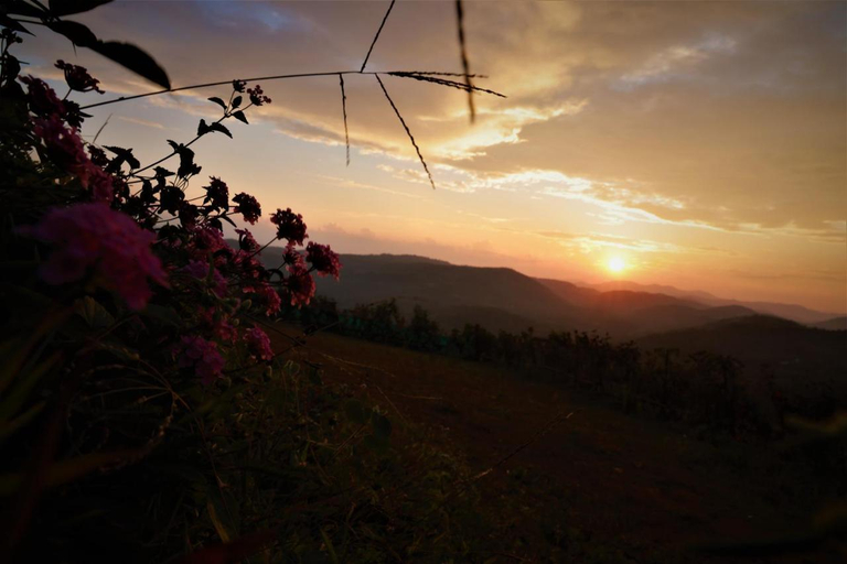 Others 5, Peakaavu Cottages, Idukki