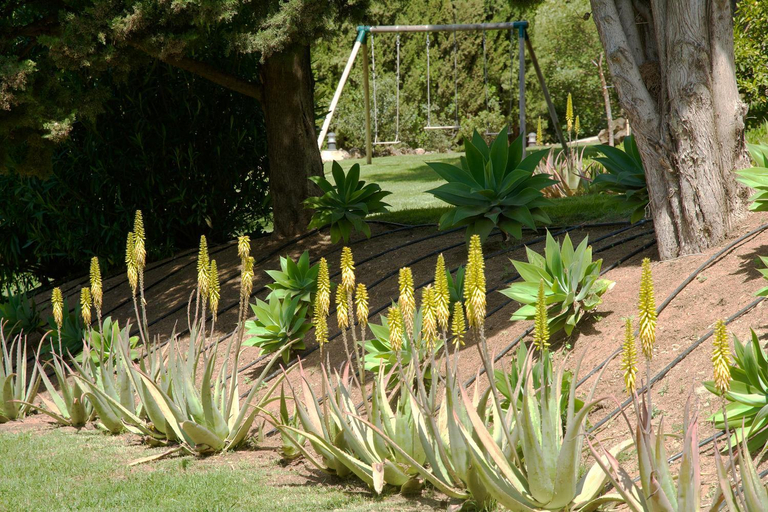 Others 2, La Ciruela - Villa paisible jardin de 5000m2 piscine chauffee et vue sur mer, Málaga