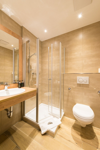 Bathroom 5, Hotel Schneider, Roth