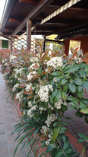 Others 5, Casa Vacanze Mimose, Salerno