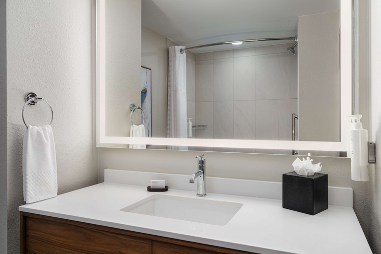 Bathroom 4, Embassy Suites by Hilton Huntsville, Madison