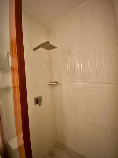 Bathroom 2, City House, Maynas