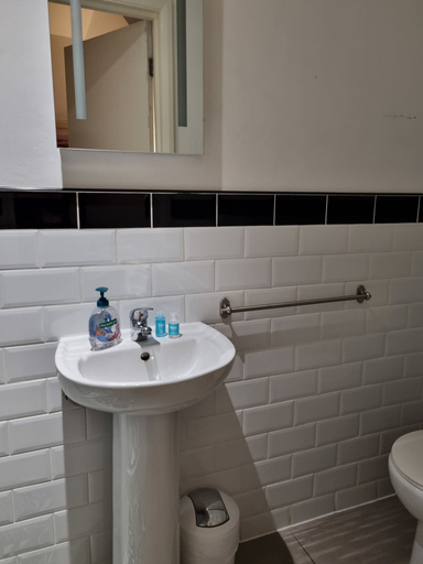 Bathroom 5, The Windmill, London
