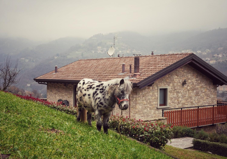 Others 5, Casa Martina, Bergamo