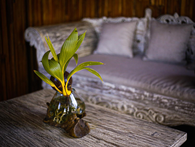 Public Area, Angsoka Bungalow, Gianyar