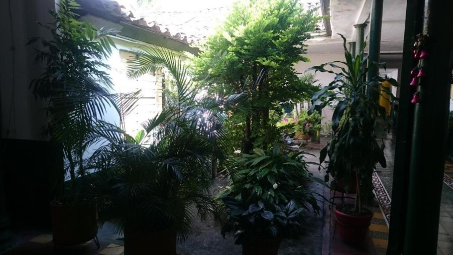 Others 4, Residencias Escorial, Palmira