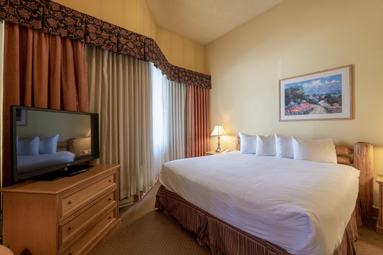 Room 4, Cozy Pet-friendly King Studio In Mt. Crested Butte Condo - No Cleaning Fee! by RedAwning, Gunnison