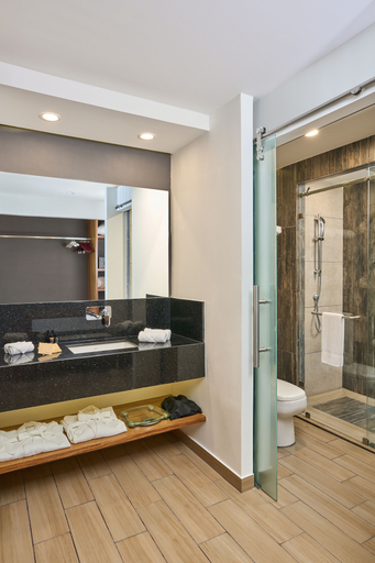 Bathroom 5, Cristalino Lagoon Front Hotel Restaurant & SPA - Adults Only, Othón P. Blanco