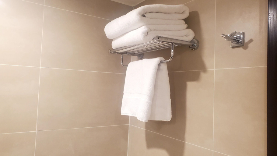 Bathroom 4, Islamabad Hotel, Islamabad