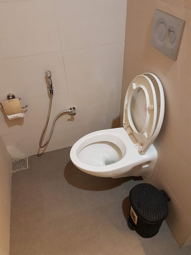 Bathroom, Taarab View, Shimla