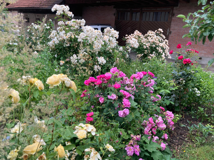 Exterior & Views 5, B&B Perron13, Lac