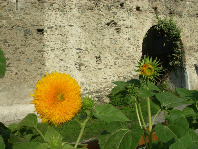 Others 4, B&B Autin, Torino