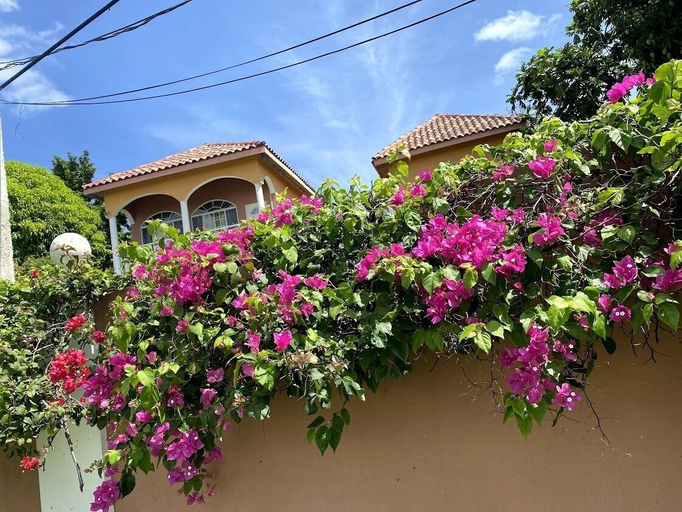Exterior & Views 2, YanceyLargoEstate 2BR Villa w/Mountain Views by RedAwning