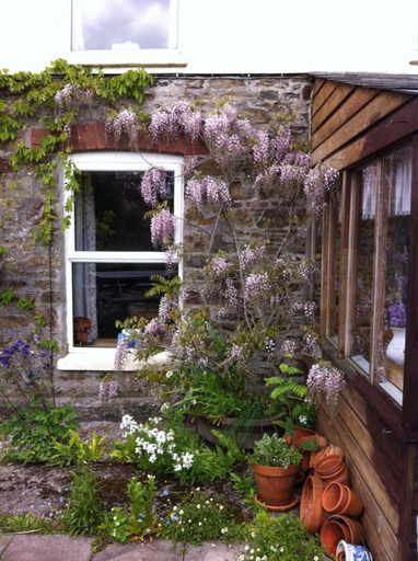 Others 3, Vine Cottage, Cornwall