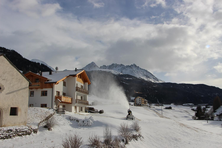 Others 2, Alpenrose-Apart, Landeck