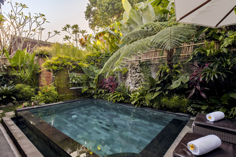 Swimming Pool 23