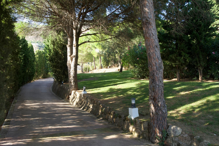 Others 4, La Ciruela - Villa paisible jardin de 5000m2 piscine chauffee et vue sur mer, Málaga