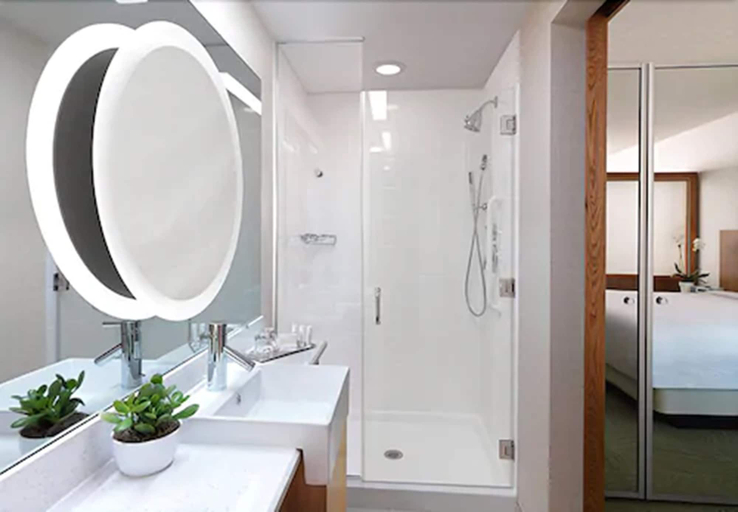 Bathroom 4, Springhill Suites by Marriott Charleston Mount Pleasant, Charleston