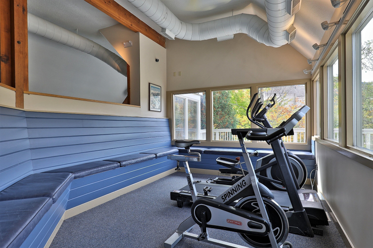 Others 4, Fall Line Small Studio - Perfect For Two - On Shuttle Route W/ Amenities G6a 1 Bedroom Condo, Rutland