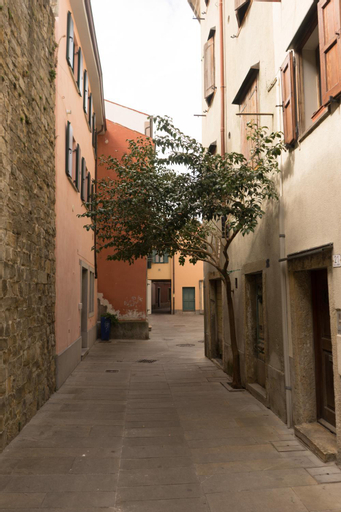 Casa Iaia, Trieste