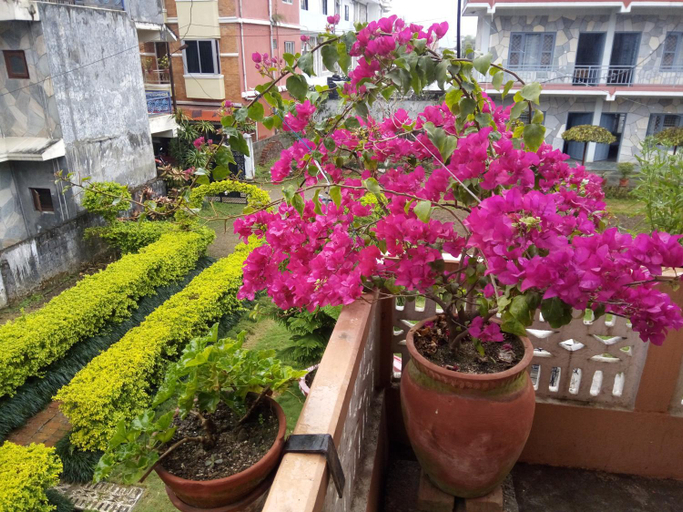 Others 2, Galaxy Inn Guest House, Gandaki