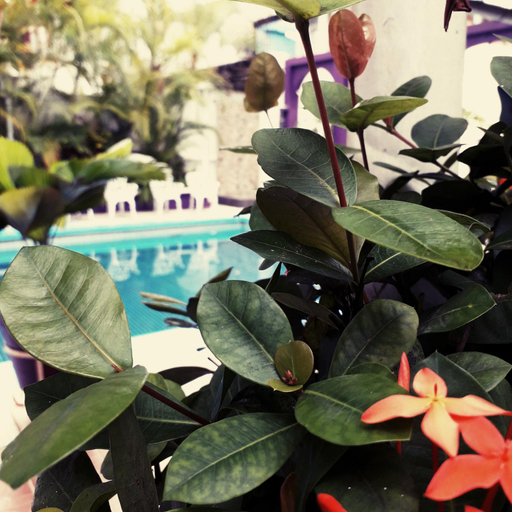 Others 3, Hotel Michelle, San Andrés Tuxtla