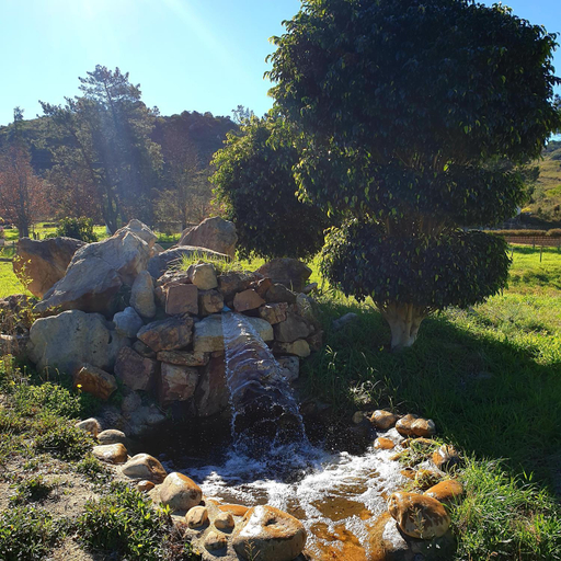 Garden 5, Topiary Wine Estate & Cottages, Cape Winelands