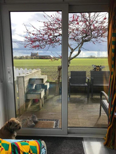 Others 4, Dog Friendly Bed & Bowl Beach Chalet, East Riding of Yorkshire