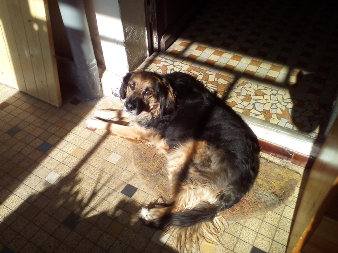 Others 4, La Forge, Landes