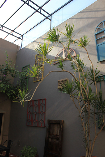 Exterior & Views 2, Entre Patios Hotel Boutique, León