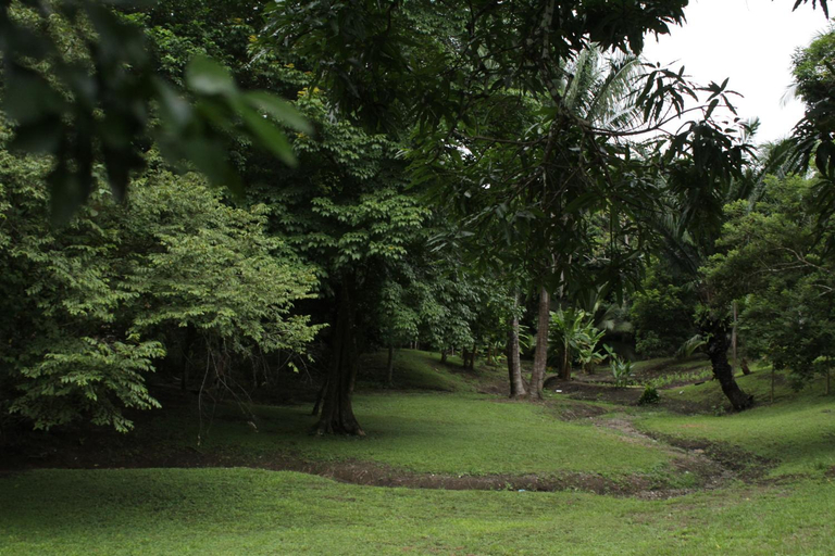 Others 4, Hostel Guayacan, Barú
