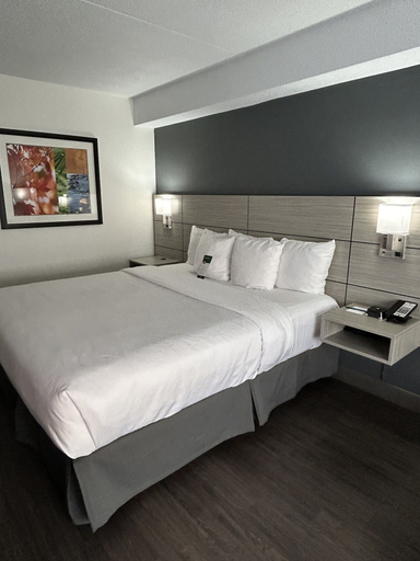 Bedroom 3, Quality Inn, Essex