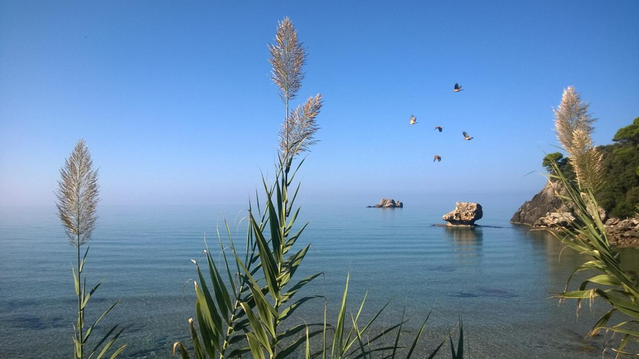 Beach 5, Yaliskari Beach, Ionian Islands