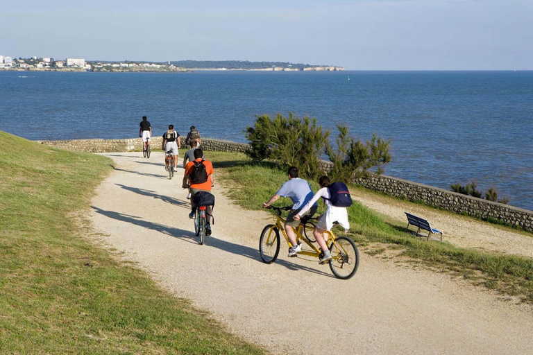 Others 4, La Foret d'Armotte By Avecoeur, Charente-Maritime