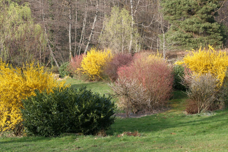 Others 4, Chambres d'Hotes "La Landre", Vosges
