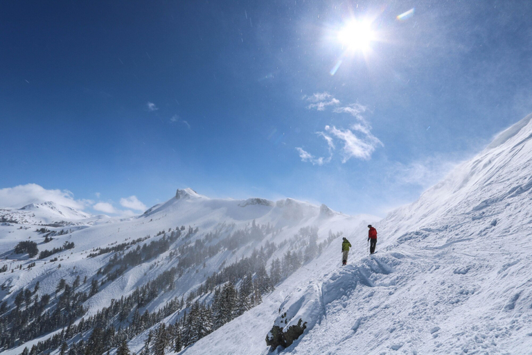 Snow and ski sports 2, 2br+ Loft Centrally Located Kirkwood Great Value 2 Bedroom Condo by RedAwning, Alpine