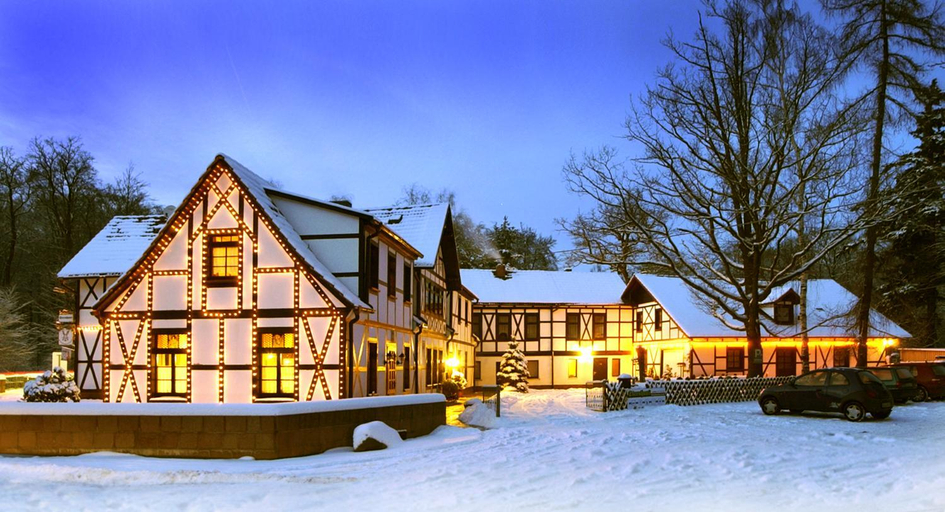 Others 5, Sternhaus-Harz, Harz