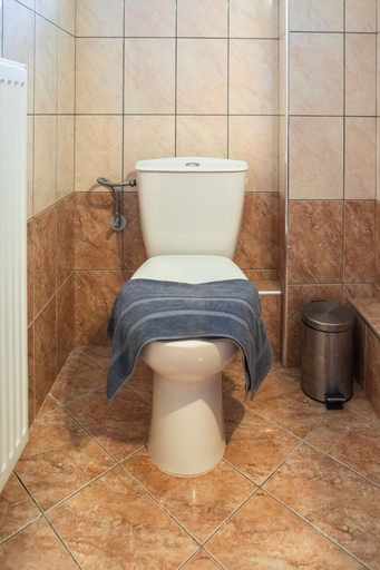 Bathroom 4, Pigeon House, Epirus