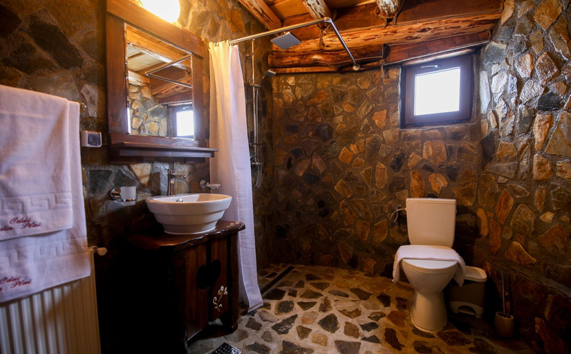 Bathroom 3, Odai din Plai, Fundata