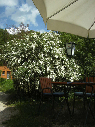 Others 4, Hotel Grunwald, Ansbach
