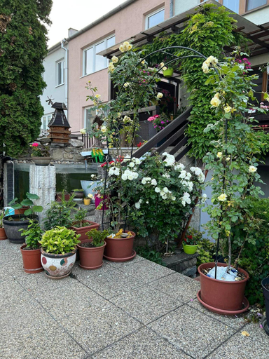 Others 4, Ubytovani Na Hrazi 91, Znojmo